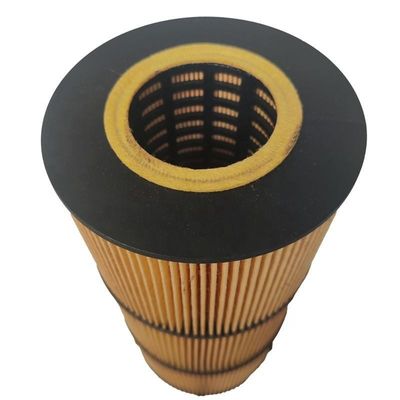 디젤 엔진 오일 필터 P7505 LF17511 LF673 E510H07D129 필터 종이와 철